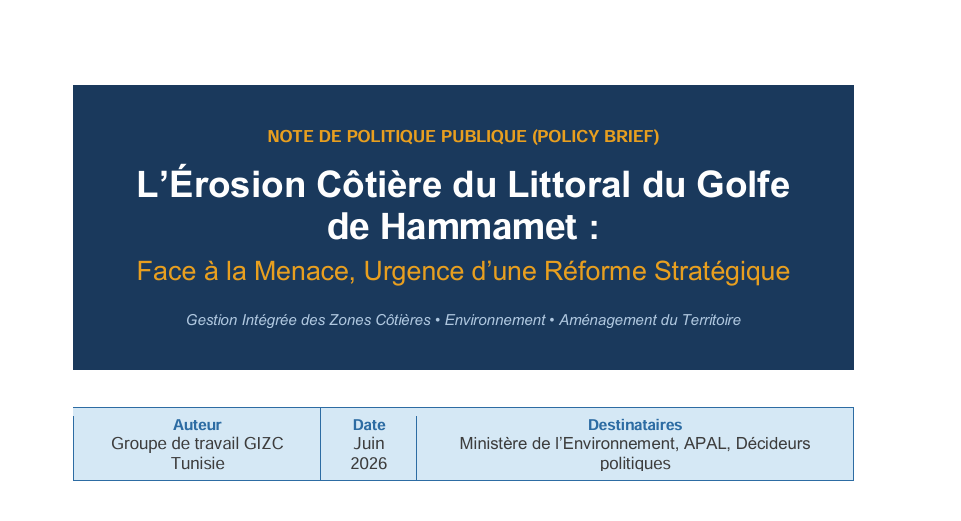 L’Érosion Côtière du Littoral du Golfe  de Hammamet Face à la Menace, Urgence d’une Réforme Stratégique